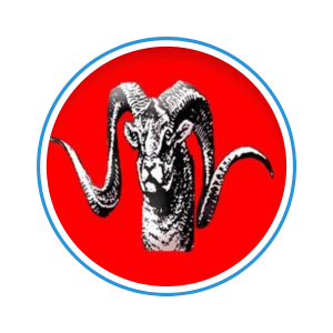 Client Logo 2